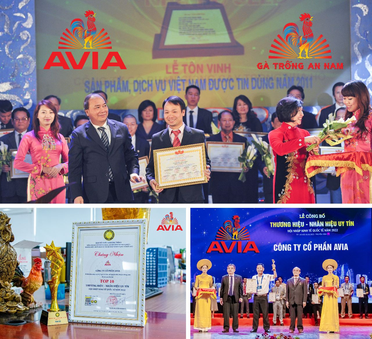 avia xuất khẩu